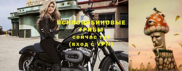 трава Баксан